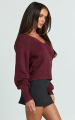 Tiana Sweater - V Neck Long Sleeve Knit Sweater in Burgundy